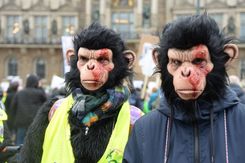 Zwei Teilnehmer der Demo tragen Affenmasken.