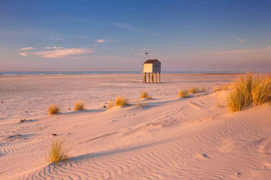 Auf Terschelling wurde vor über 52 Jahren eine Leiche angespült.