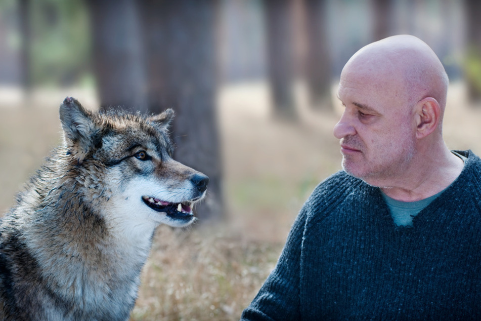 Zwei einsame Wölfe im Spreewald: Thorsten Krüger (Christian Redl) und der Wolf.
