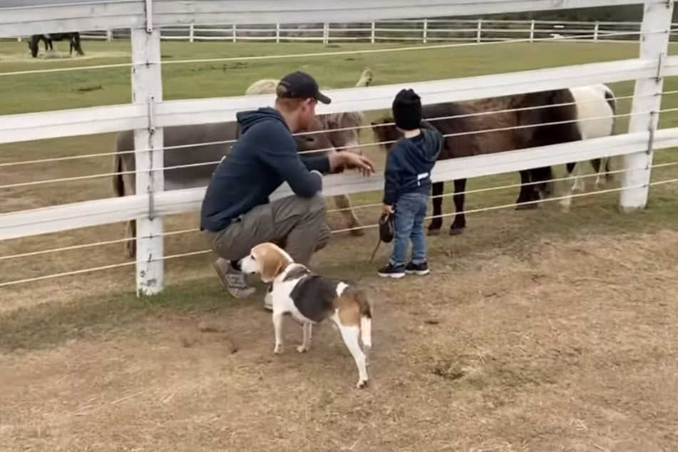 Prince Archie made an appearance in the clip alongside his father, Harry.