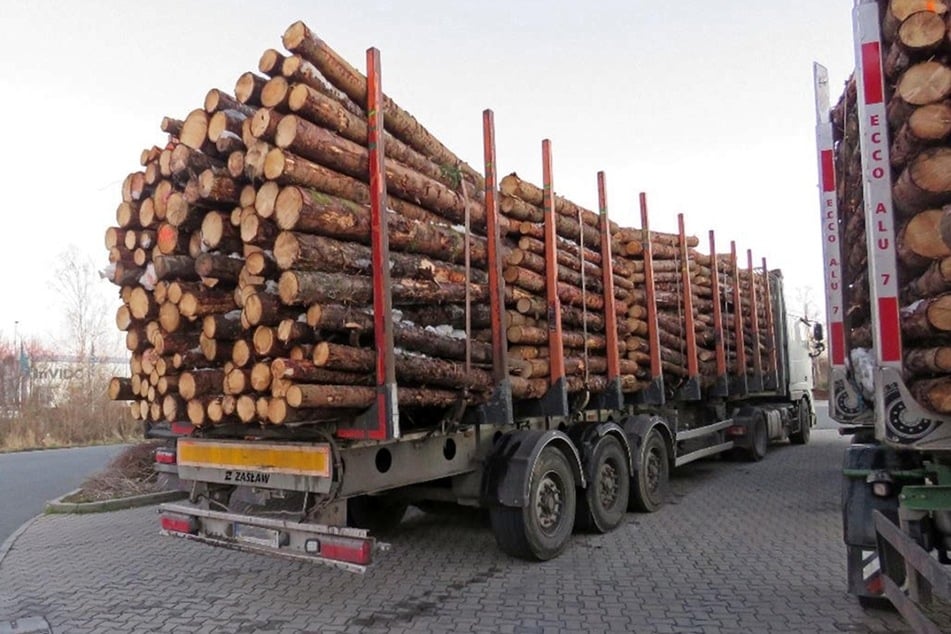 22 Tonnen Holz zu viel! Polizei stoppt überladene Laster auf A72