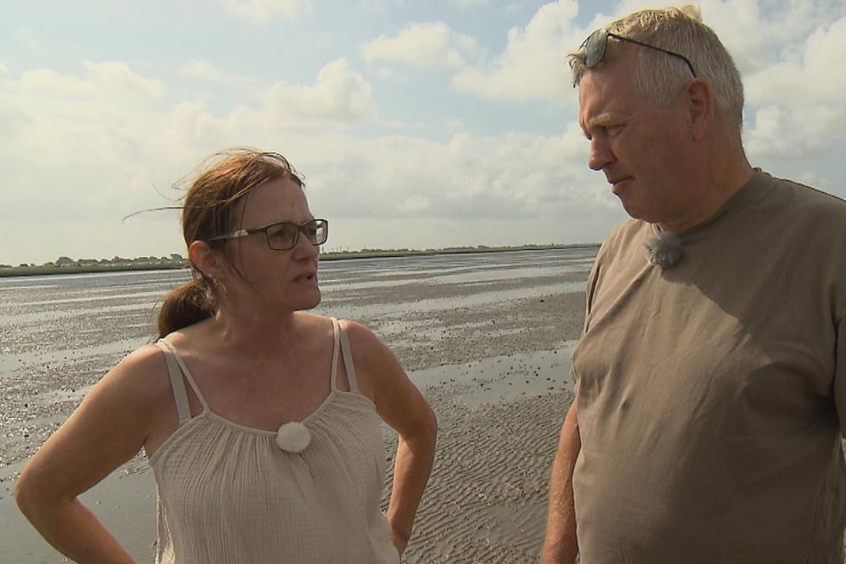 Bauer sucht Frau: Hofdame von RTL-Bauer offenbart Schicksalsschlag: So reagiert Jörg