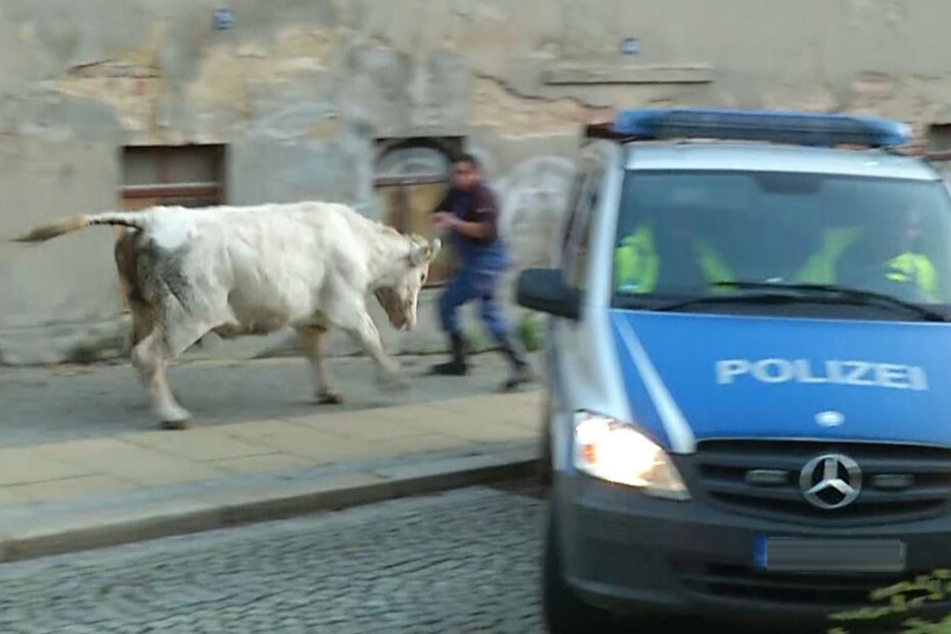 Platz da...