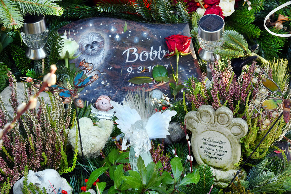 Auf dem Tierfriedhof "Frankenheimer Ruh" ist das Grab eines vor zwölf Jahren verstorbenen Hundes namens Bobbi geschmückt.