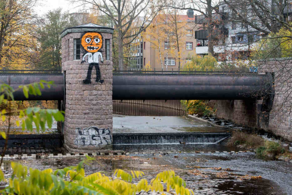 Dieses fiese "Fratzenmännchen" passte gar nicht ins Bild des sonst so idyllisch anmutenden Walzenwehres.