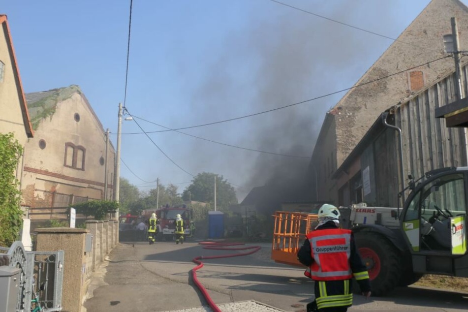 Zwei Personen versuchten zunächst vergeblich, die Flammen zu löschen.