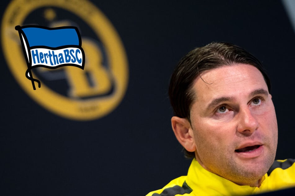 Hertha Neuer Trainer Hertha Neuer Trainer