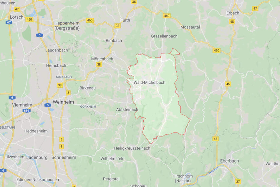 Immer wieder taucht das Huftier in Gärten und auf Wiesen auf.