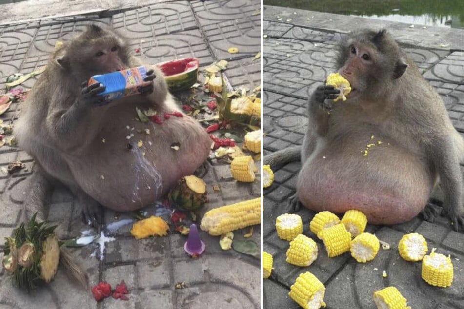 Die Fotos von "Uncle Fatty" verbreiteten sich in den sozialen Medien.