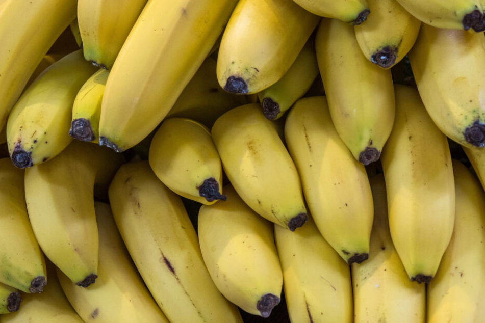 Der Mitarbeiter des Supermarktes machte seinen Fund beim Entpacken von Bananen. (Symbolbild)