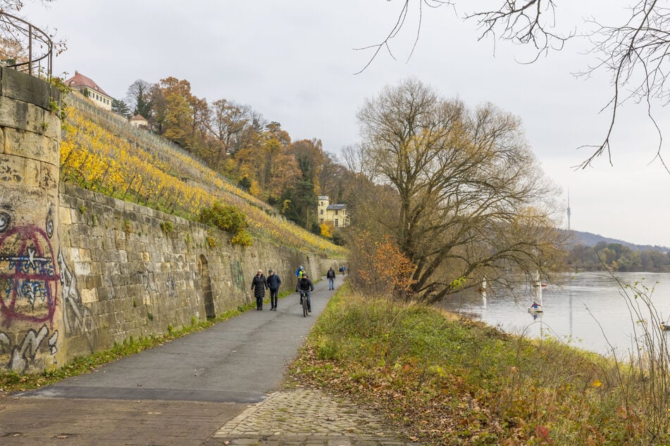 Die bei Radlern beliebte Asphaltdecke auf dem Körnerweg soll ab Montag abgetragen werden.