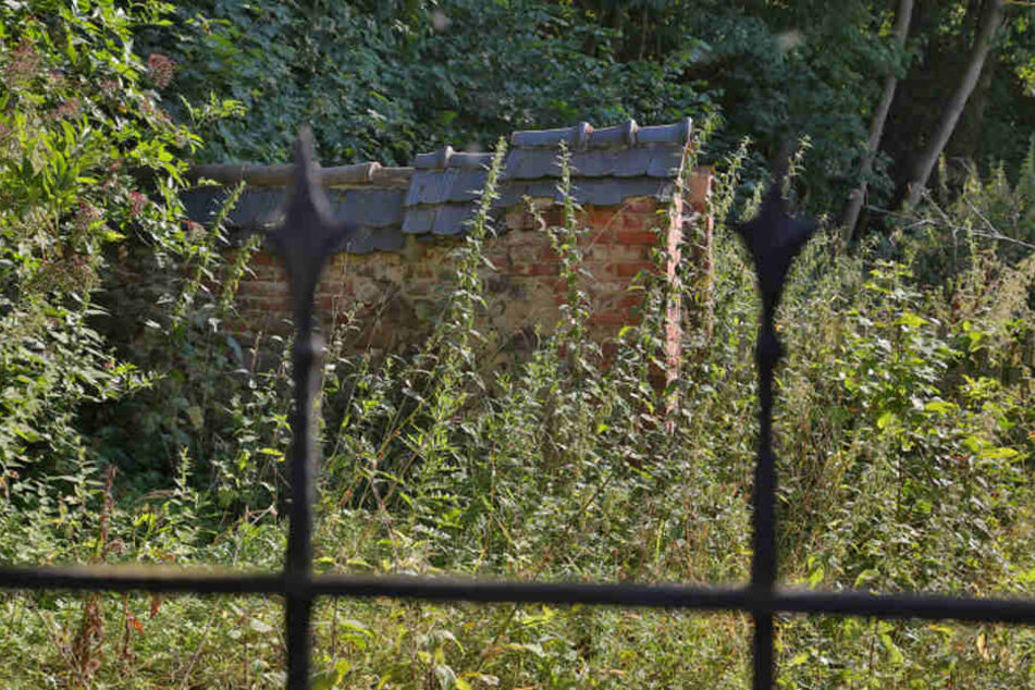 Auf dem Hof der ehemaligen Obermühle ging es blutig zu. Von dem Haus des Ehepaars Fischer stehen nur noch die Grundmauern.