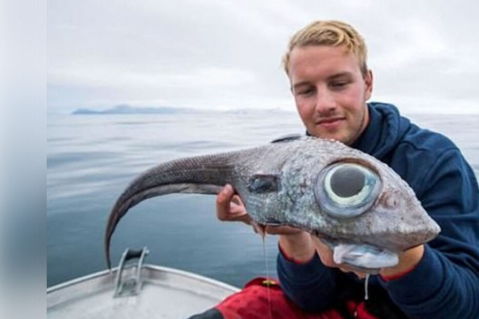 Gruselig! Teenager zieht Monsterfisch aus dem Meer und verspeist ihn sogar noch