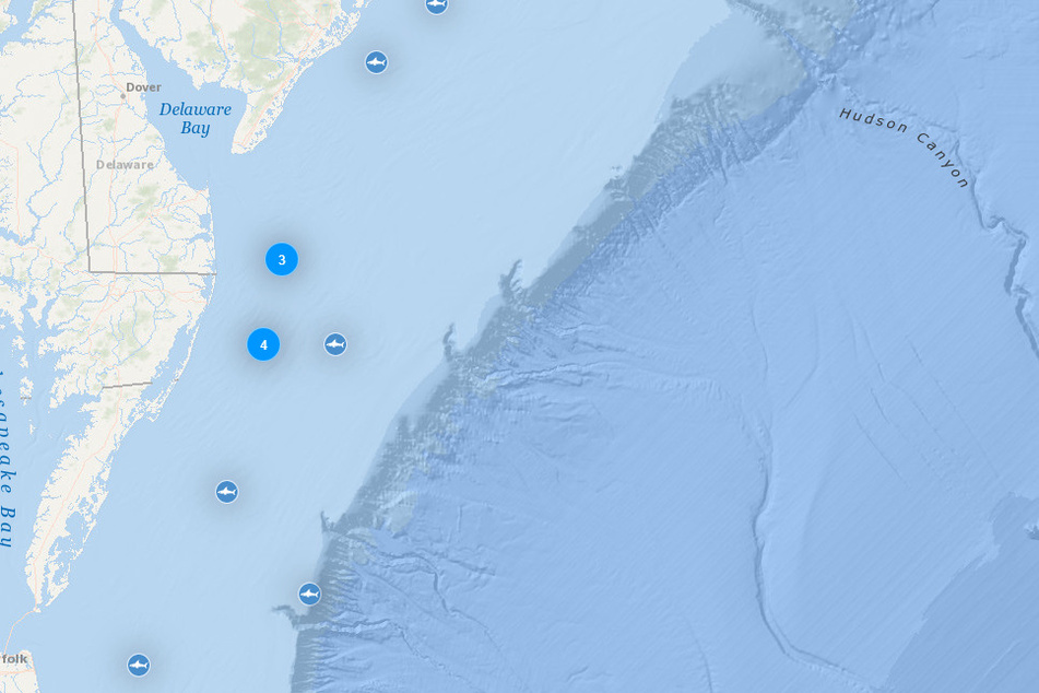 Ocearch stellt auf ihrer Homepage eine interaktive Karte zur Verfügung. Dort können Hai-Fans die Routen ihre Lieblinge in Echtzeit verfolgen.