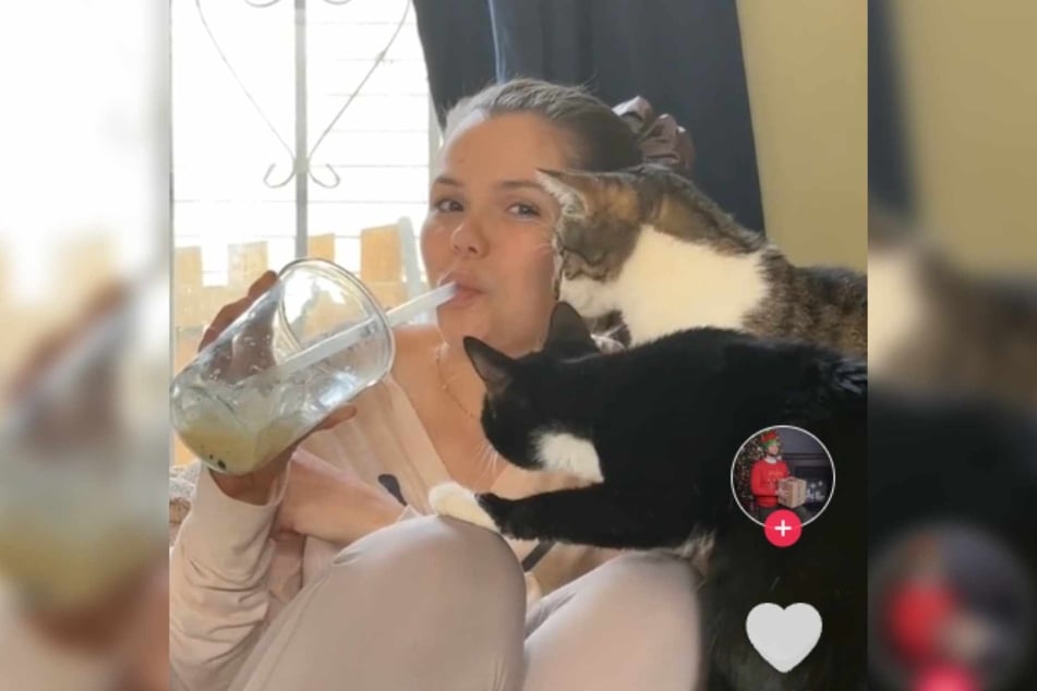 These cat owners know how to show their pets a good time, and all it takes is some bubble tea!