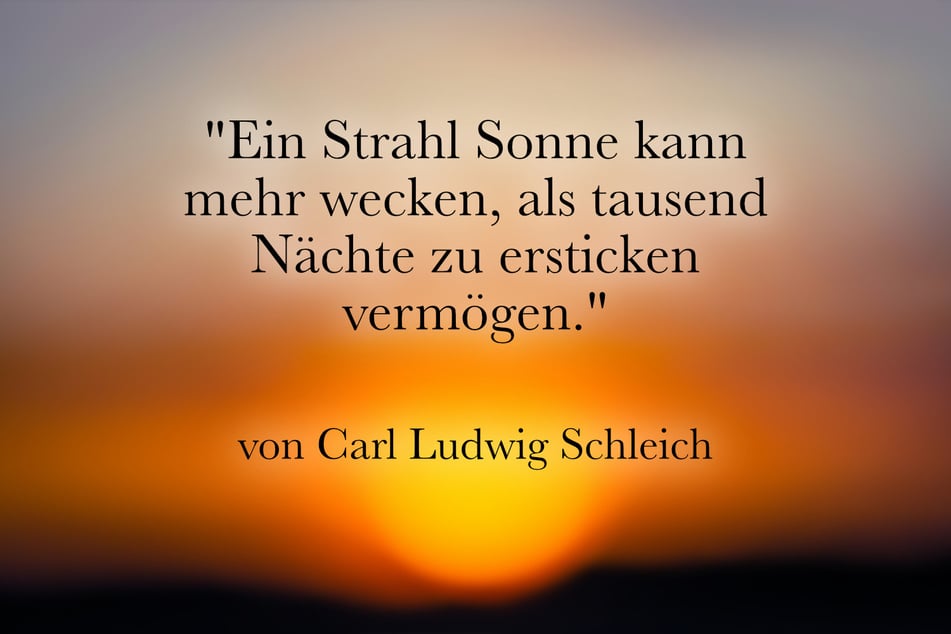 Carl Ludwig Schleich meinte: "Ein Strahl Sonne kann mehr wecken, als tausend Nächte zu ersticken vermögen."