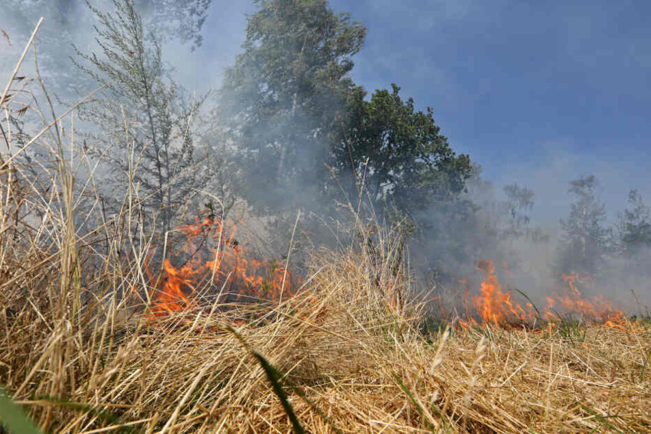Die Flammen loderten auf einem Feld und an einer Straßenböschung.