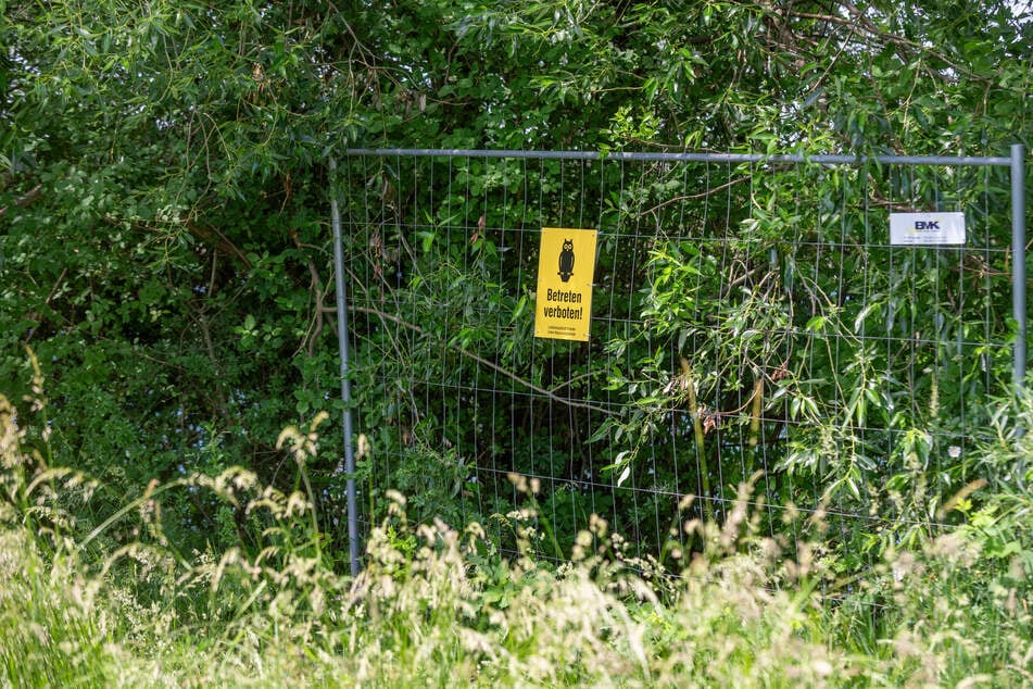 Zum Schutz des Nestes stellten Tierschützer diesen Zaun auf. Die Verwaltung brachte nachträglich noch ihr Schild an.