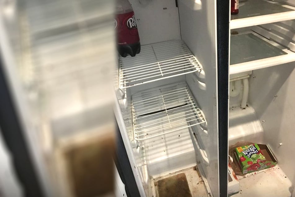 Unappetitlicher kann der Blick in einen Kühlschrank kaum sein.