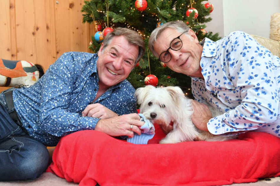 Hund Obelix ist einfach zum Kuscheln. Finden auch Patrick Lindner und sein Lebensgefährte Peter Schäfer (r).