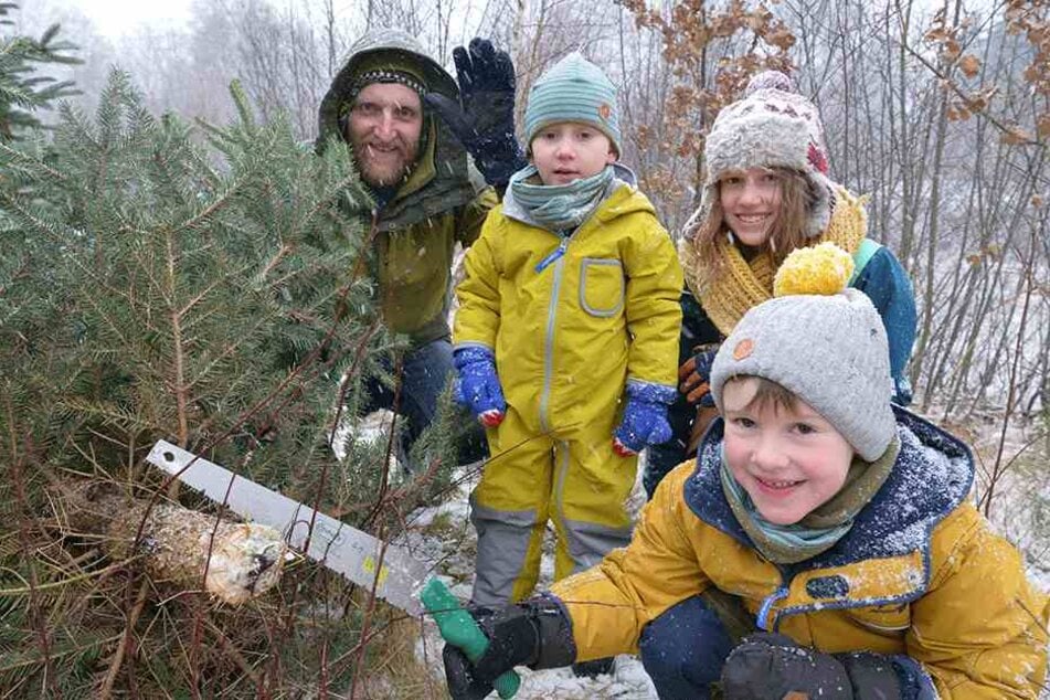Unser selbstgefällter Weihnachtsbaum! Familie Kunze mit Jonte (5), Emma (11), Thore (3, v.r.n.l.) und Vati Sebastian Fehrmann (39, l.) freut sich.