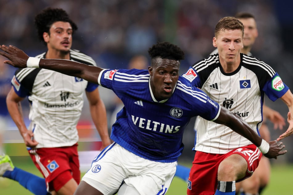 Die HSV-Neuzugänge Ignace Van der Brempt (21, r.) und Guilherme Ramos (25, l.) feierten gegen Schalke überzeugende Pflichtspiel-Debüts.