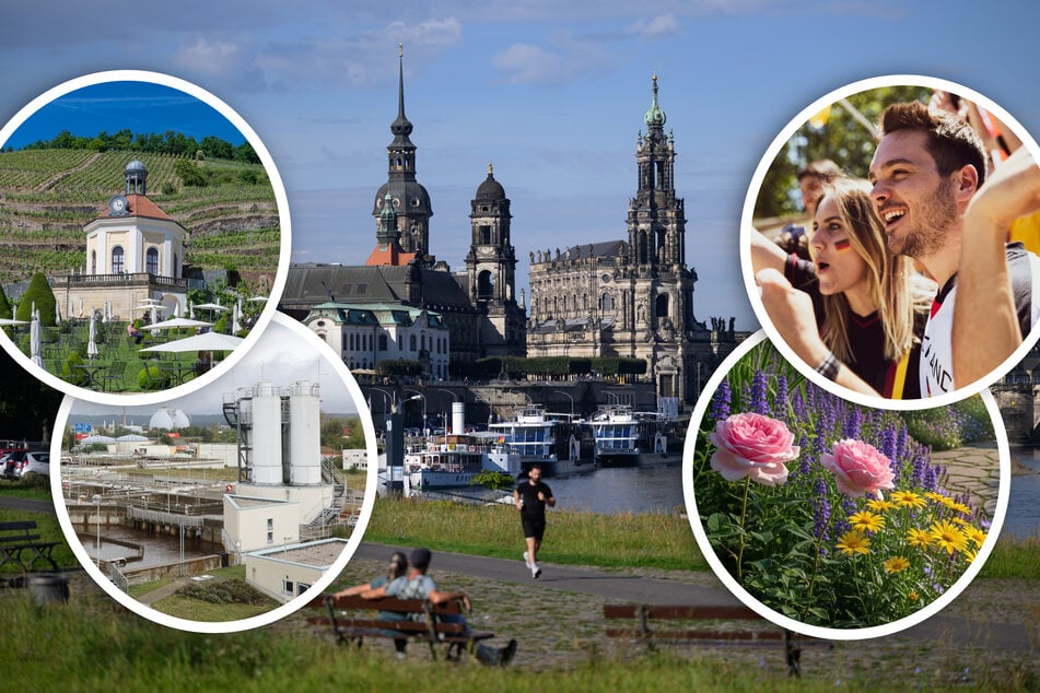 Dresden: Sechs Tipps für Euren perfekten Sonntag in Dresden und Umgebung
