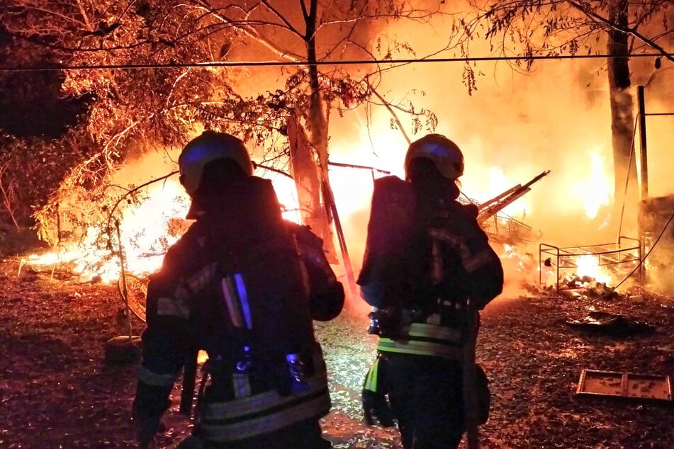 Leipzig: Feuer im Lene-Voigt-Park: Kleines Waldstück brennt lichterloh