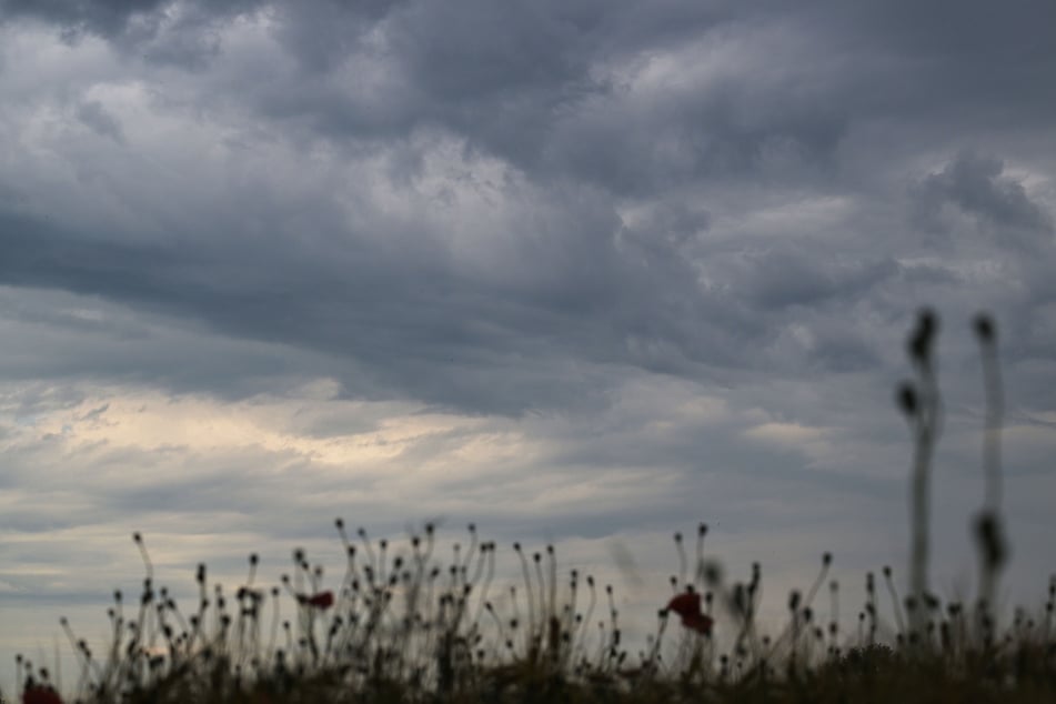 Viele Wolken bestimmen in den kommenden Tagen den Himmel über NRW. (Symbolbild)