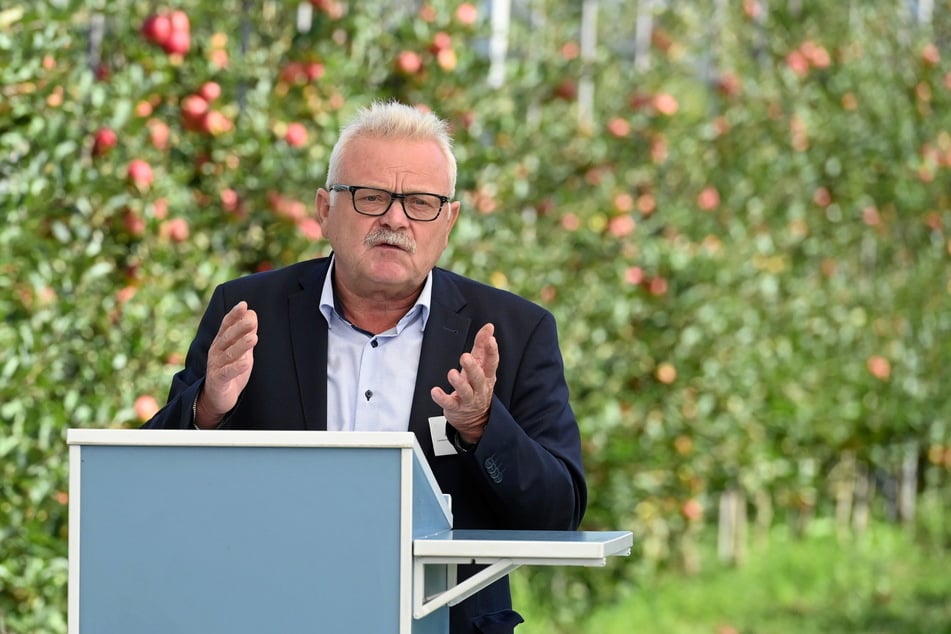 Ein Foto aus guten Tagen: 2022 konnte Jörg Geithel (63), Vorsitzender des Obstbauverbands Sachsen &amp; Sachsen-Anhalt, vor vollen Apfelbäumen die Erntezeit eröffnen.