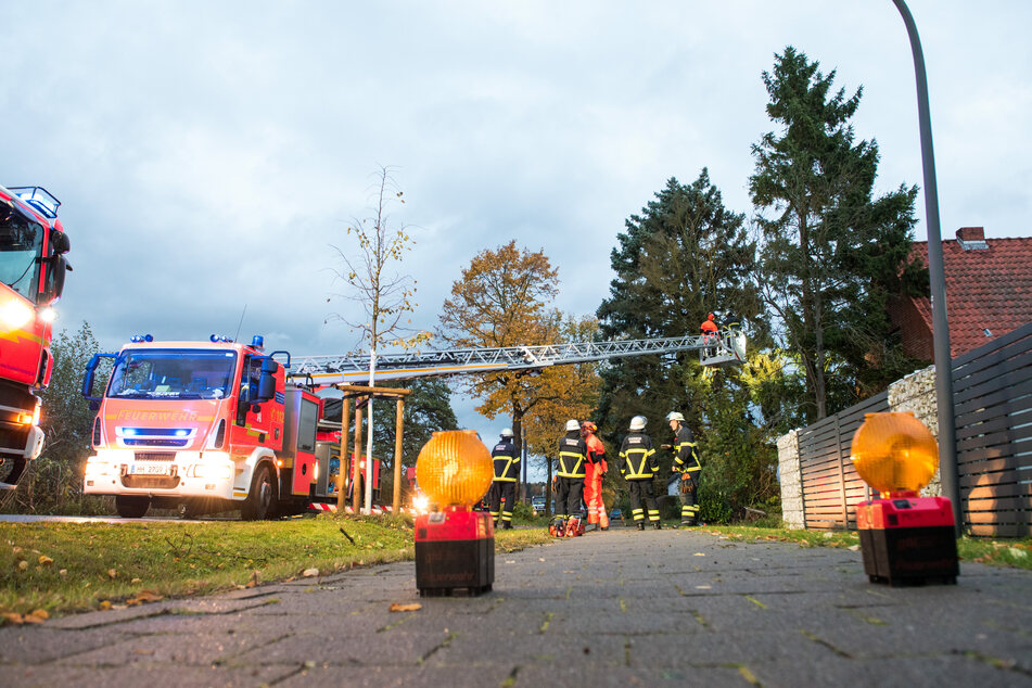 Im Stadtteil Curslack arbeiten Feuerwehrleute an einem vom Sturm in Schräglage gewehten Baum.