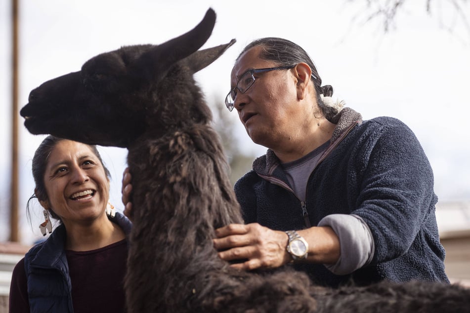 Dalai llama is part of the Staits family.