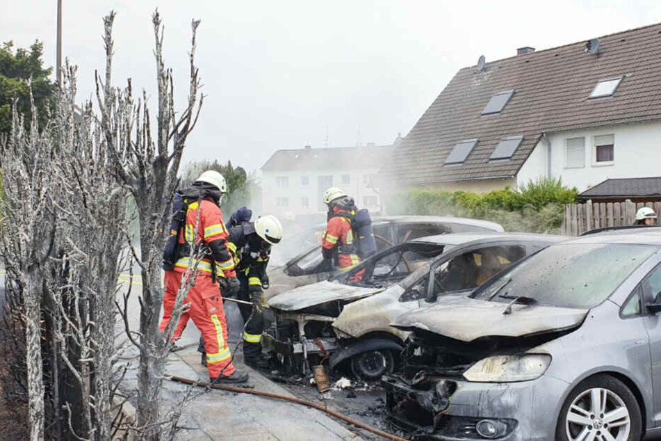 Hecke und Autos sind völlig abgebrannt.