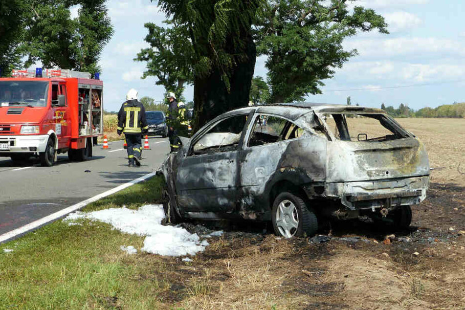 Ausgebrannt steht der Ford vor dem Straßenbaum. Hinterm Steuer verbrannte ein 27-Jähriger aus Nordsachsen.