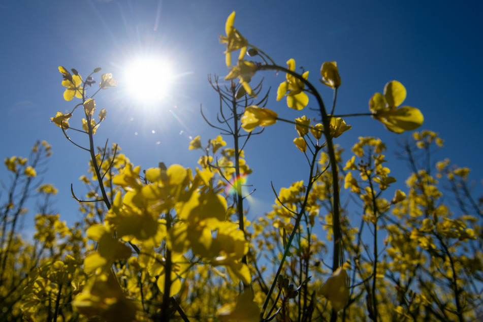 Am Sonntag lässt sich in Bayern endlich länger die Sonne blicken.