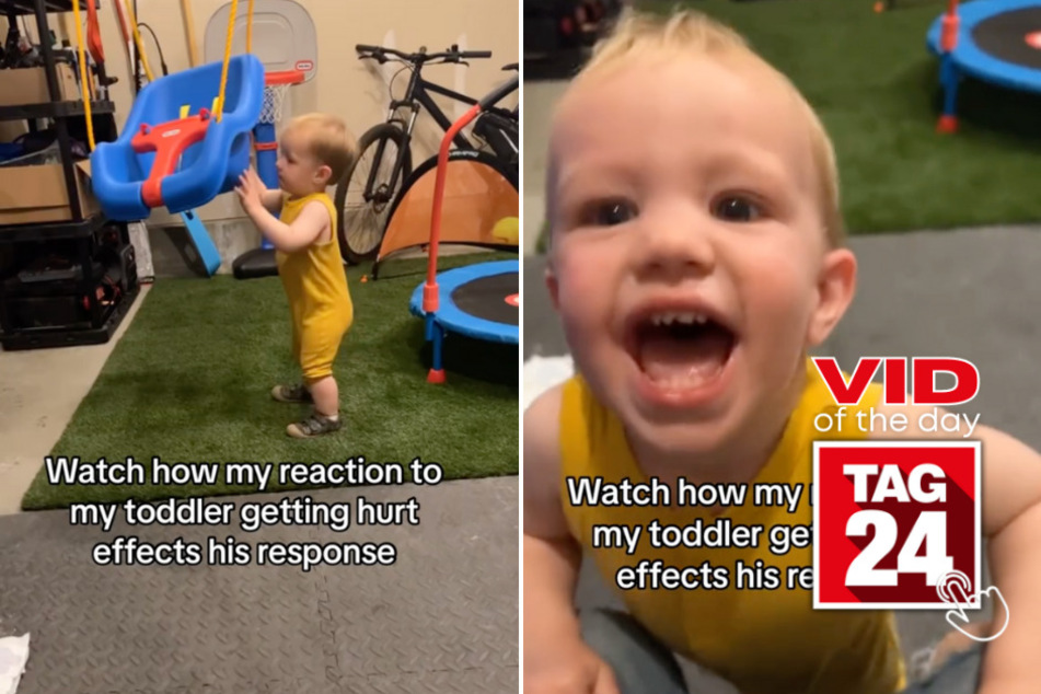 viral videos: Viral Video of the Day for February 1, 2024: Kid has mixed reaction to getting whacked by swing!