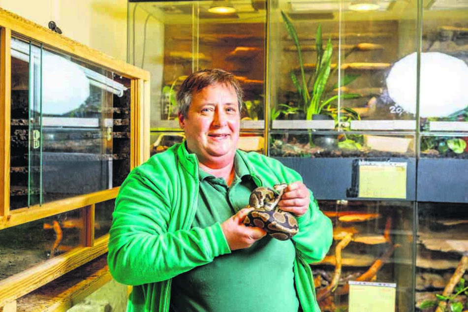 Tierpflegerin Kathrin Meuschke (50) mit Königspython Anton.