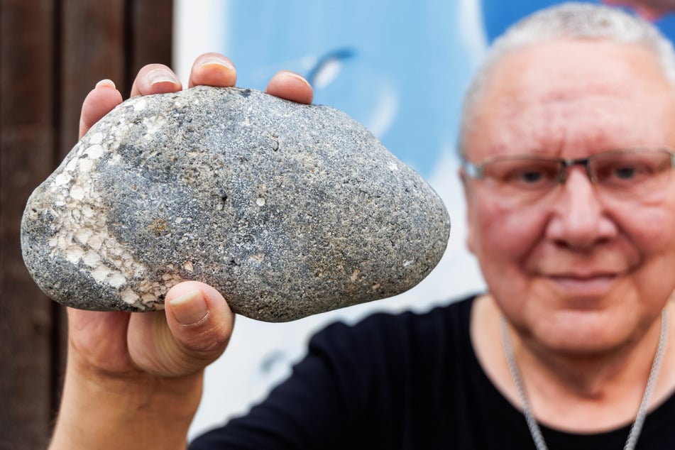 Sensationsfund in der Ostsee! Hobby-Forscher findet 66 Millionen Jahre alten Seestern