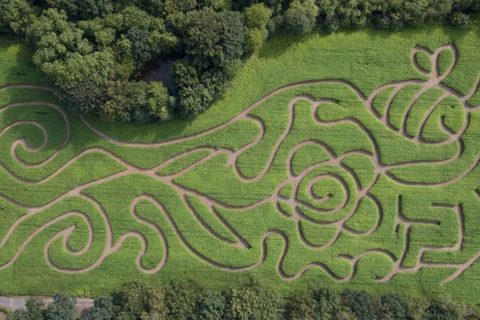 So sieht das Muster des Labyrinths von oben aus.