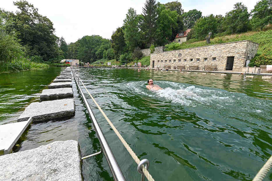 Diebe stiegen ins Zschonergrundbad ein.