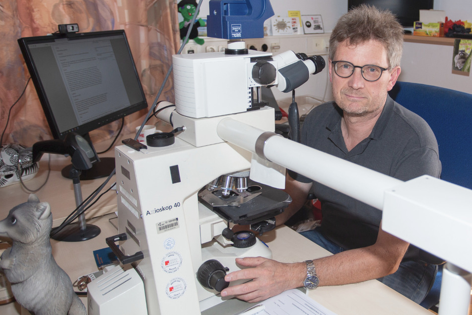 Hans Bösmüller is sitting at a desk in the Pathological Institute of the University Clinic Tübingen, looking at a microscope.  Since the outbreak of the coronavirus, Bösmüller has autopsied the bodies of eleven people who have died of a Sars-CoV-2 infection.