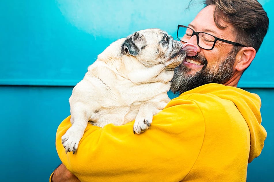 Pet parents will love these deals at Chewy on Saturday, October 4