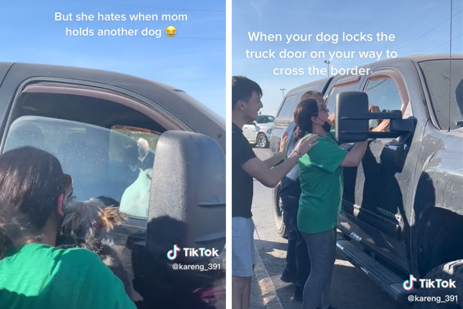 One dog owner was locked out of her truck by her canine companion, and it took a healthy dose of jealousy to resolve the issue!
