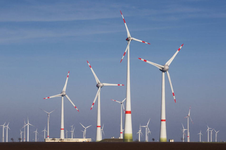 Droht ein Kahlschlag zugunsten von Windrädern?