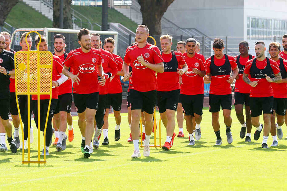 Auf Fortuna Düsseldorf wartet das schwere zweite Jahr in der 1. Bundesliga.