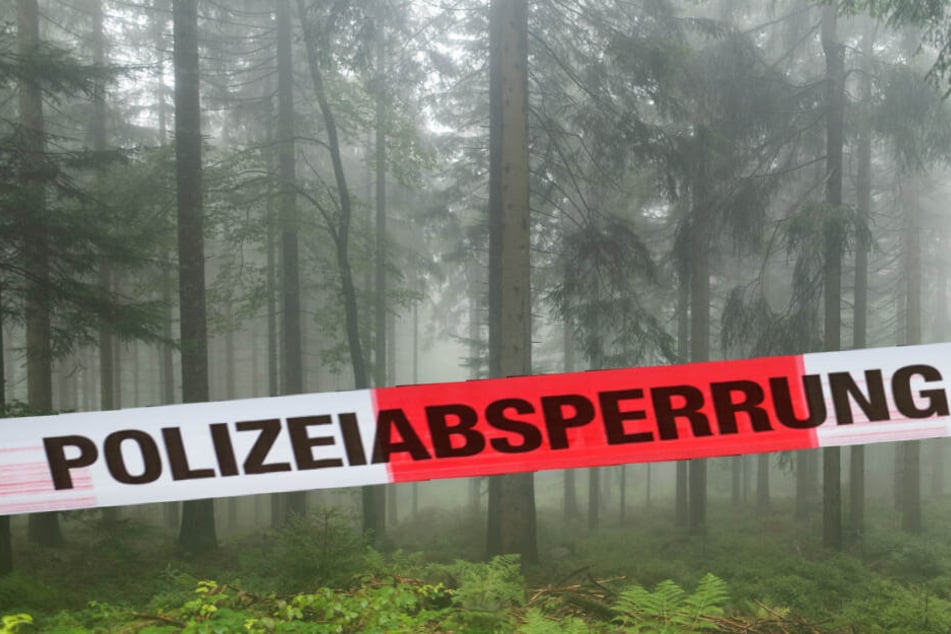 In einem Waldstück in der Dölauer Heide wurde der Tote gefunden (Symbolbild).