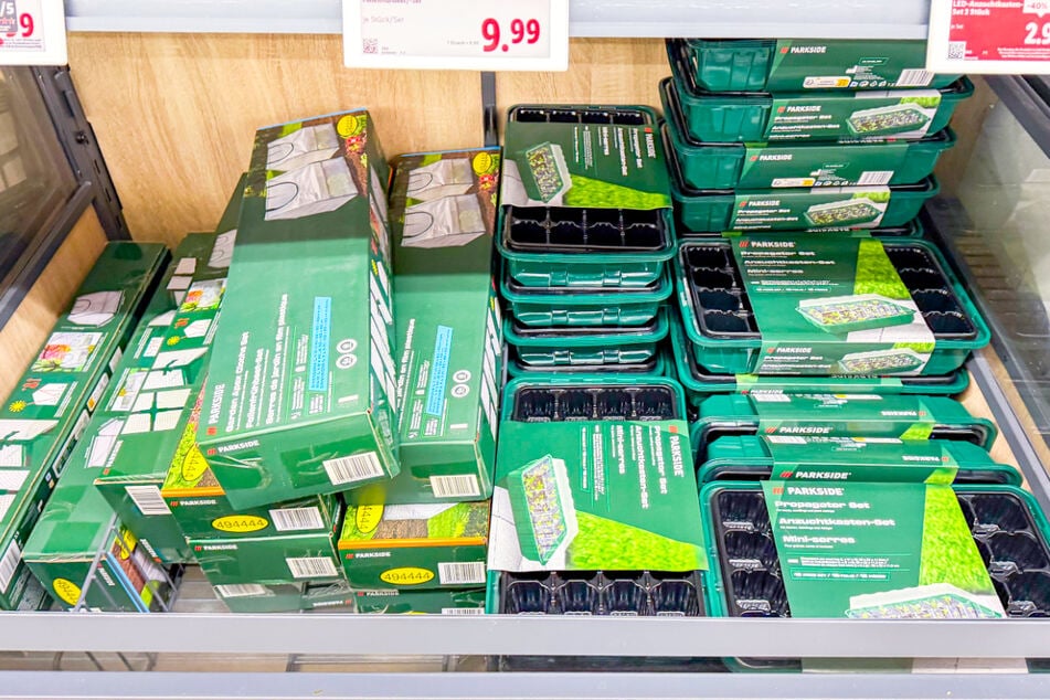 Wer jetzt zu Lidl geht, sollte vorher diese Angebote kennen