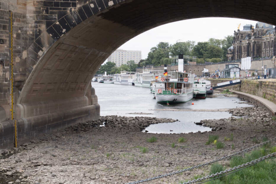 Im Sommer fuhren wegen Niedrigwasser keine Schiffe über die Elbe.