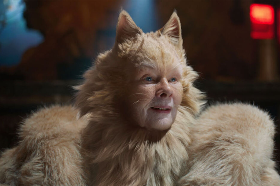 Die Old Deuteronomy (Judi Dench) führt die Jellicle-Katzen mit viel Weisheit an.