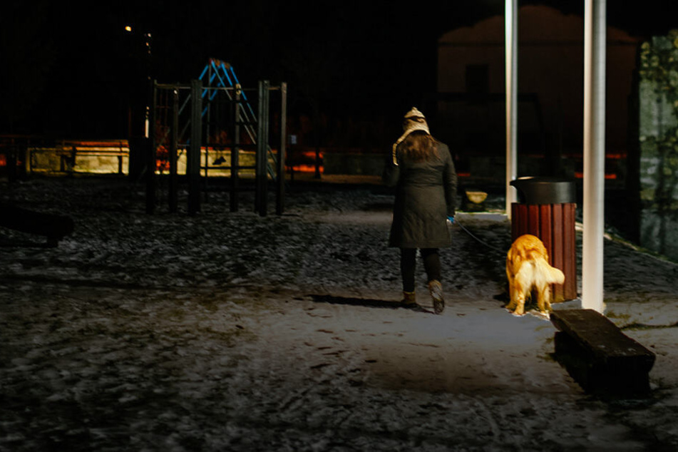Die Frau war gerade mit ihren Hunden Gassi, als ein Fremder sie vergewaltigen wollte. (Symbolbild)
